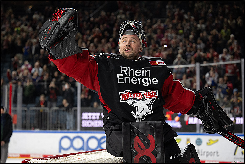 PENNY DEL; Koelner Haie-Duesseldorfer EG ; Koeln, 16.02.2025